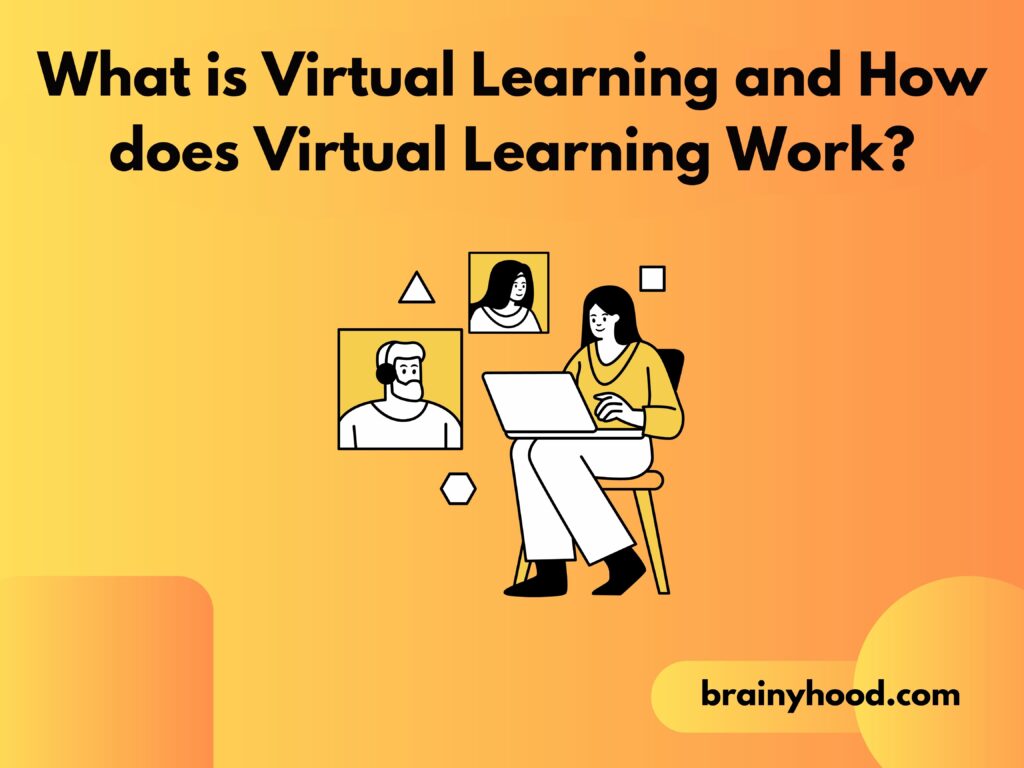 What is Virtual Learning and How does Virtual Learning Work?