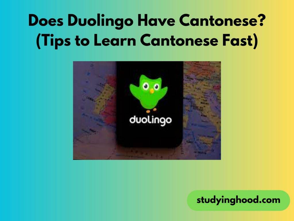 Does Duolingo Have Cantonese? (Tips to Learn Cantonese Fast)