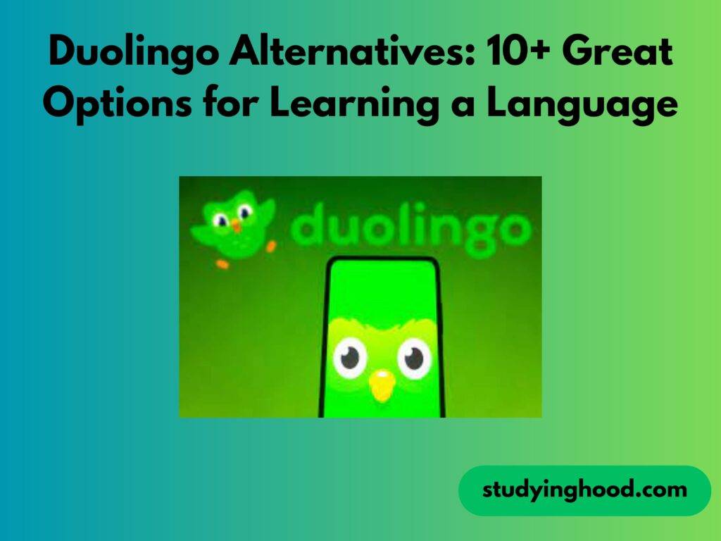 Duolingo Alternatives: 10+ Great Options for Learning a Language