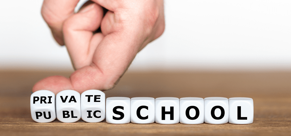 What curriculum do private schools follow?